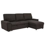 Tampa Furniture Outlet - Coaster - Demko Sleeper Sectional Sofa with Speaker and Storage Chaise Brown - 500356