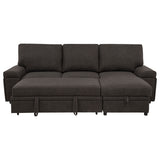 Demko Sleeper Sectional Sofa with Speaker and Storage Chaise Brown