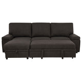 Demko Sleeper Sectional Sofa with Speaker and Storage Chaise Brown