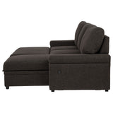 Demko Sleeper Sectional Sofa with Speaker and Storage Chaise Brown