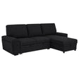 Tampa Furniture Outlet - Coaster - Demko Sleeper Sectional Sofa with Speaker and Storage Chaise Black - 500357