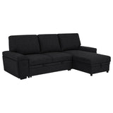 Tampa Furniture Outlet - Coaster - Demko Sleeper Sectional Sofa with Speaker and Storage Chaise Black - 500357