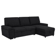 Tampa Furniture Outlet - Coaster - Demko Sleeper Sectional Sofa with Speaker and Storage Chaise Black - 500357