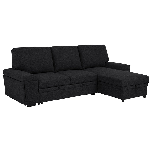 Tampa Furniture Outlet - Coaster - Demko Sleeper Sectional Sofa with Speaker and Storage Chaise Black - 500357