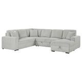 Tampa Furniture Outlet - Coaster - Devonshire Sleeper Sectional Sofa Storage Chaise Grey - 501208