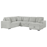 Tampa Furniture Outlet - Coaster - Devonshire Sleeper Sectional Sofa Storage Chaise Grey - 501208
