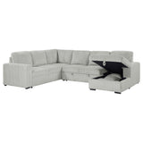 Devonshire Sleeper Sectional Sofa Storage Chaise Grey - Tampa Furniture Outlet