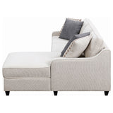 Mcloughlin Upholstered Sloped Arm Sectional Sofa Platinum - Tampa Furniture Outlet