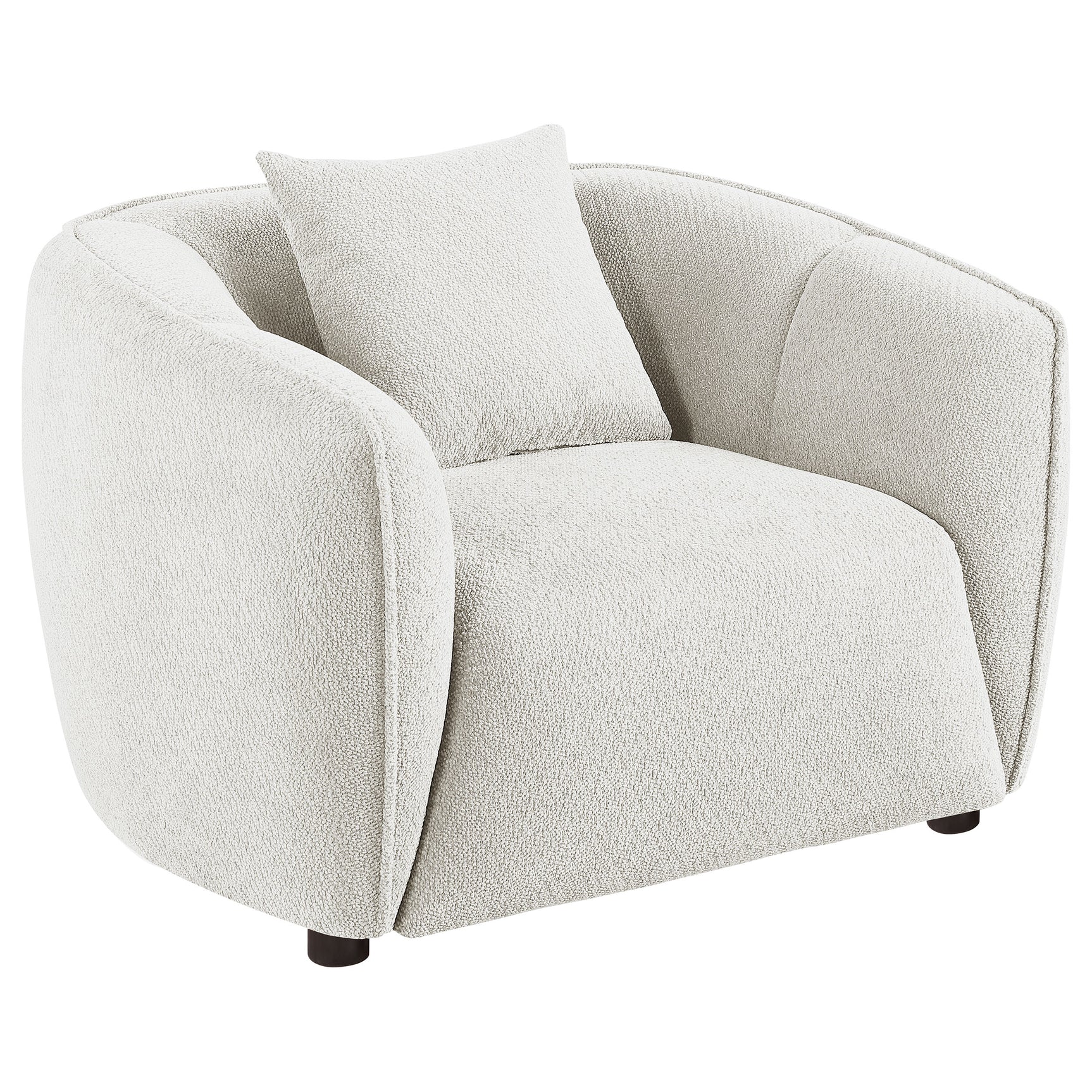 Tampa Furniture Outlet - Coaster - Aleisha Fabric Upholstered Accent Chair Sand - 503066