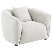 Tampa Furniture Outlet - Coaster - Aleisha Fabric Upholstered Accent Chair Sand - 503066