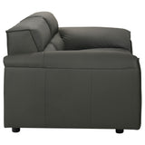 Buxton 2-piece Leather Upholstered Sofa Set Graphite