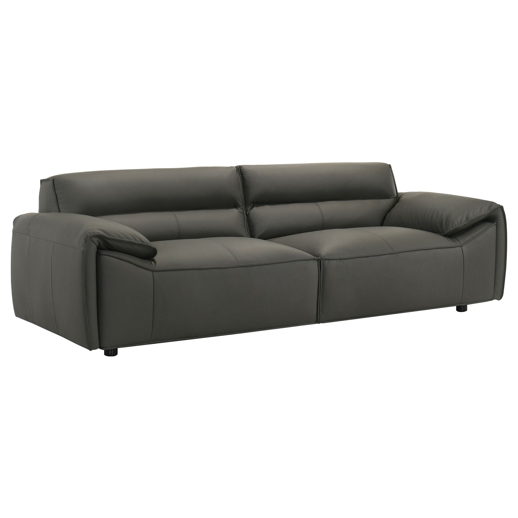 Tampa Furniture Outlet - Coaster - Buxton Top Grain Leather Upholstered Sofa Graphite - 509504