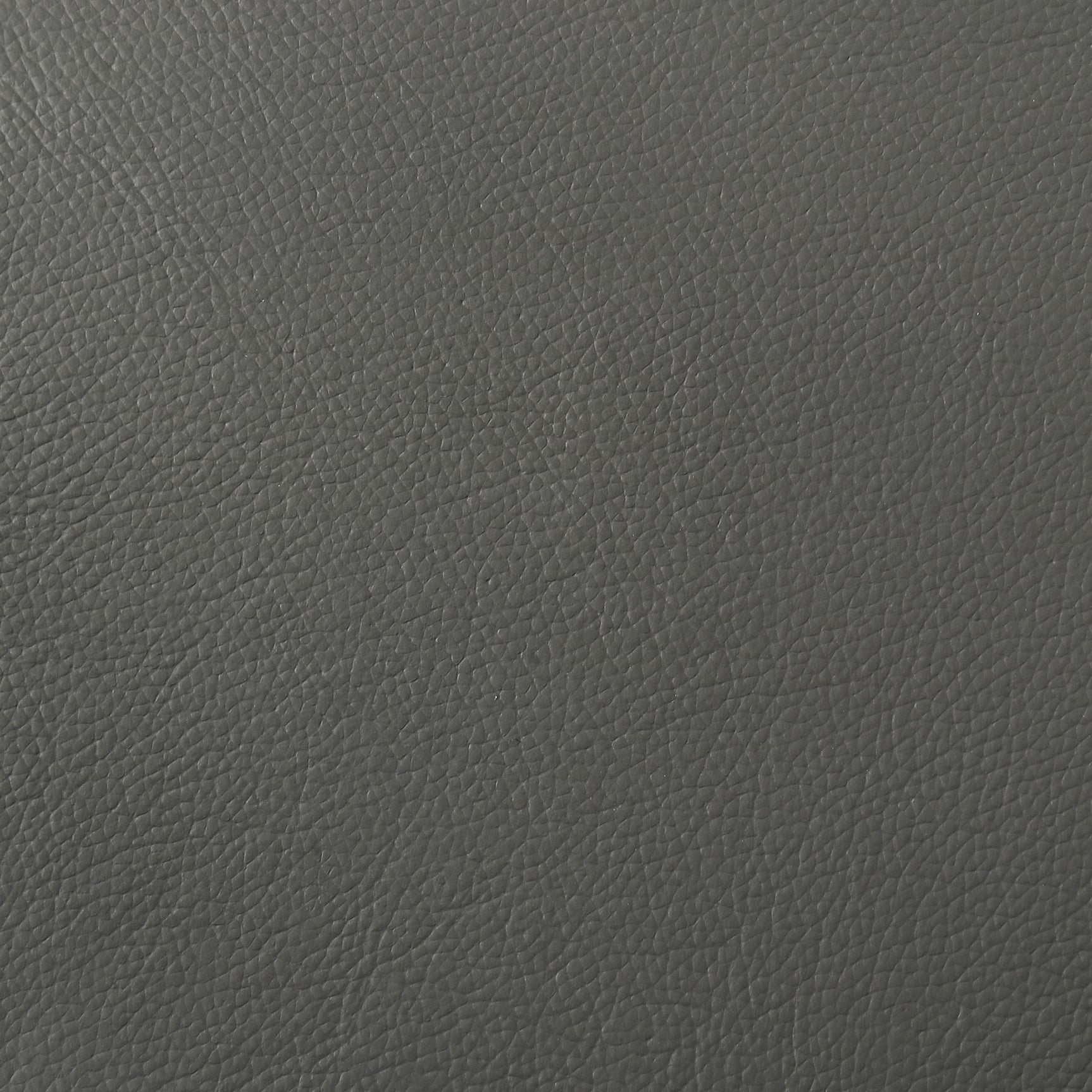 Buxton Top Grain Leather Upholstered Loveseat Graphite