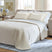 Tampa Furniture Outlet - Ashley Furniture - Deltona Living Room - Queen Sofa Sleeper / Graphite - 5120539