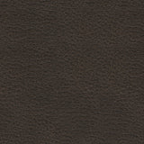 Femley Living Room - Tampa Furniture Outlet