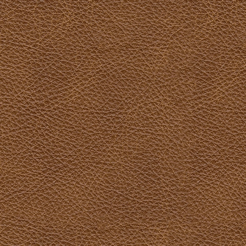 Carianna Living Room - Tampa Furniture Outlet