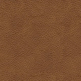 Carianna Living Room - Tampa Furniture Outlet