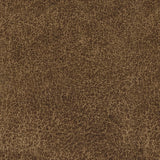 Wolfridge Living Room - Tampa Furniture Outlet