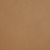 Armstrong Upholstered Power Lift Massage Recliner Camel - Tampa Furniture Outlet
