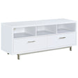 Tampa Furniture Outlet - Coaster - Casey 2-drawer Engineered Wood 60-inch TV Stand White - 701972