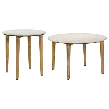 Aldis 2-piece Coffee and End Table Set White - Tampa Furniture Outlet