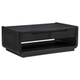 Tampa Furniture Outlet - Coaster - Leandro 2-drawer Wood Cocktail Coffee Table Burnished Black - 704638