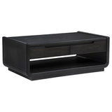 Tampa Furniture Outlet - Coaster - Leandro 2-drawer Wood Cocktail Coffee Table Burnished Black - 704638