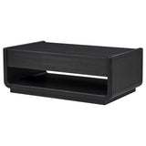 Leandro 2-drawer Wood Cocktail Coffee Table Burnished Black