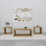 Tampa Furniture Outlet - Coaster - Benton 3-piece Solid Mango Coffee and End Table Set Natural - 704838-S3