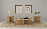 Tampa Furniture Outlet - Coaster - Cortona 3-piece Coffee and End Table Set Mango - 706178-S3