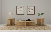 Tampa Furniture Outlet - Coaster - Cortona 3-piece Coffee and End Table Set Mango - 706178-S3