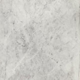 Haven Round Genuine White Marble Top Coffee Table Black - Tampa Furniture Outlet