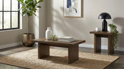 Tampa Furniture Outlet - Coaster - Decker 2-piece Coffee and End Table Set Walnut - 706488-S2