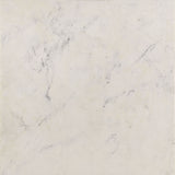 Tobin Square Marble Top Coffee Table White and Black - Tampa Furniture Outlet