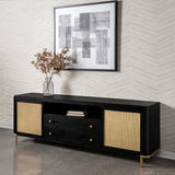 Arini Rattan Cane 2-door TV Stand Media Console Black - Tampa Furniture Outlet