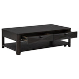 Marcelo 2-piece Coffee Table Set with Storage Coffee