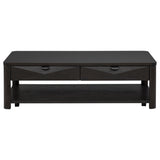 Marcelo 2-piece Coffee Table Set with Storage Coffee