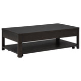 Marcelo 2-piece Coffee Table Set with Storage Coffee