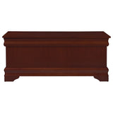 Pablo Cedar Chest Warm Brown - Tampa Furniture Outlet