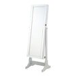 Tampa Furniture Outlet - Coaster - Yvonne Cheval Mirror with Jewelry Storage Dove Grey - 901866