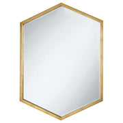 Tampa Furniture Outlet - Coaster - Bledel 24 x 34 Inch Hexagonal Wall Mirror Gold - 902356