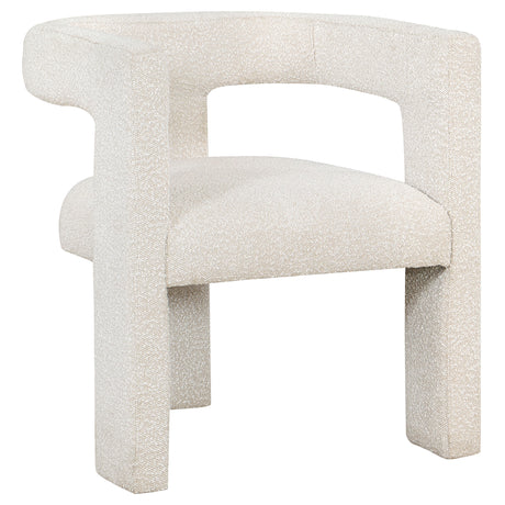Tampa Furniture Outlet - Coaster - Petra Boucle Upholstered Accent Side Chair White - 902881