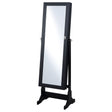 Tampa Furniture Outlet - Coaster - Tutuola Cheval Mirror with Jewelry Storage Black - 904039