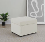 Winter Upholstered Hydraulic Lift Top Storage Ottoman Beige - Tampa Furniture Outlet