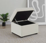 Winter Upholstered Hydraulic Lift Top Storage Ottoman Beige - Tampa Furniture Outlet