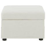 Winter Upholstered Hydraulic Lift Top Storage Ottoman Beige - Tampa Furniture Outlet