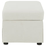 Winter Upholstered Hydraulic Lift Top Storage Ottoman Beige - Tampa Furniture Outlet