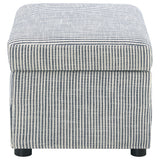 Winter Upholstered Hydraulic Lift Top Storage Ottoman Grey - Tampa Furniture Outlet