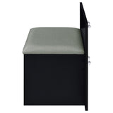 Flora 2-drawer Vanity Set with LED Mirror Black High Gloss - Tampa Furniture Outlet