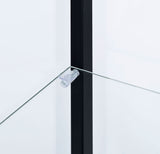 Delphinium 4-Shelf Clear Glass Curio Display Cabinet Black - Tampa Furniture Outlet